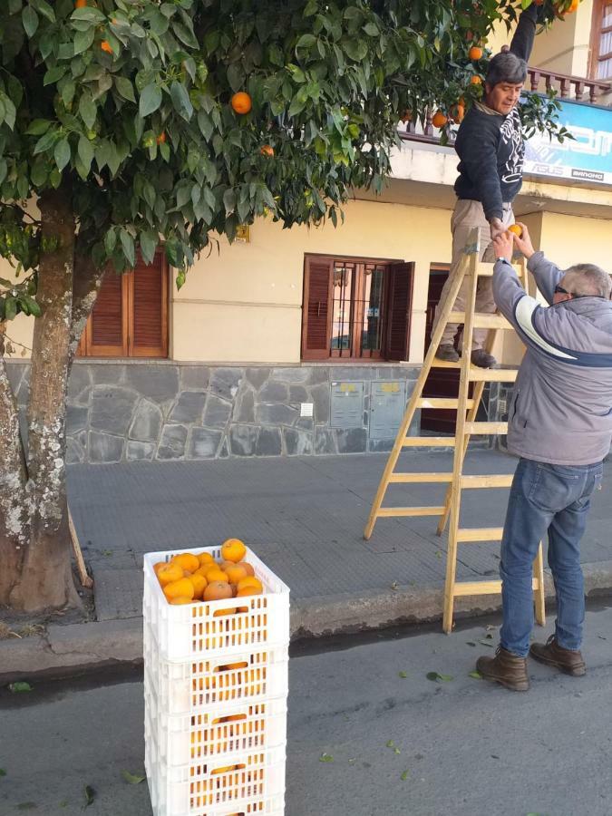 דירות סן סלבדור דה ג'ולוי La Francisca מראה חיצוני תמונה